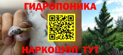 скорость Будённовск
