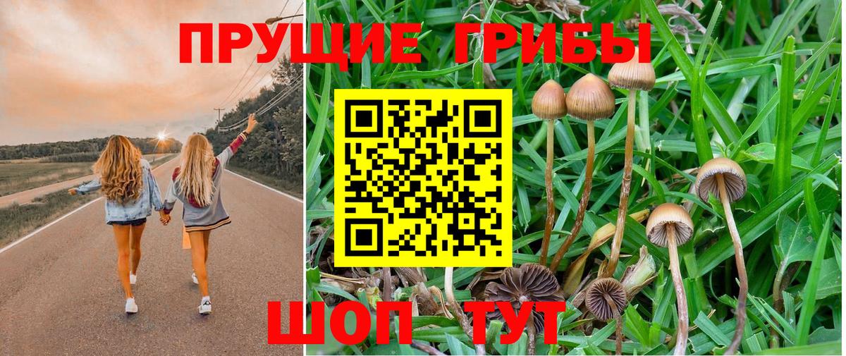 Галлюциногенные грибы мицелий  Вход с VPN  Троицк 